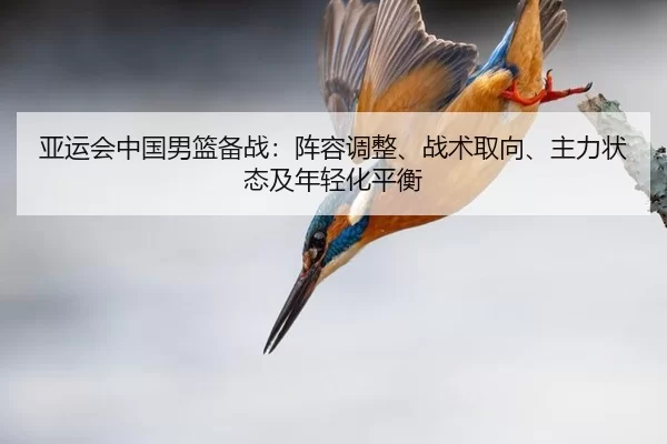 亚运会中国男篮备战：阵容调整、战术取向、主力状态及年轻化平衡