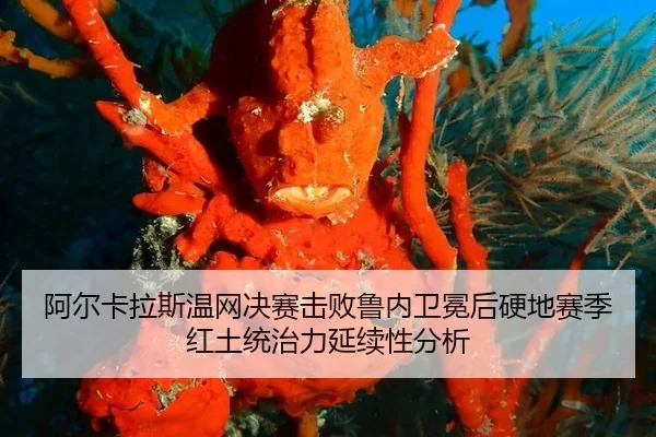 阿尔卡拉斯温网决赛击败鲁内卫冕后硬地赛季红土统治力延续性分析