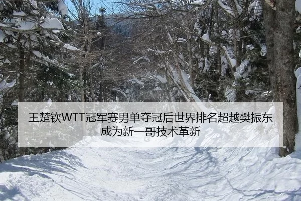 王楚钦WTT冠军赛男单夺冠后世界排名超越樊振东成为新一哥技术革新