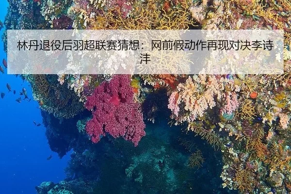 林丹退役后羽超联赛猜想：网前假动作再现对决李诗沣